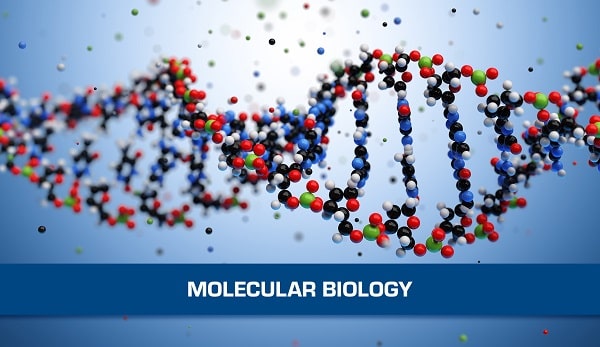 CO2 Incubator in Molecular Biology